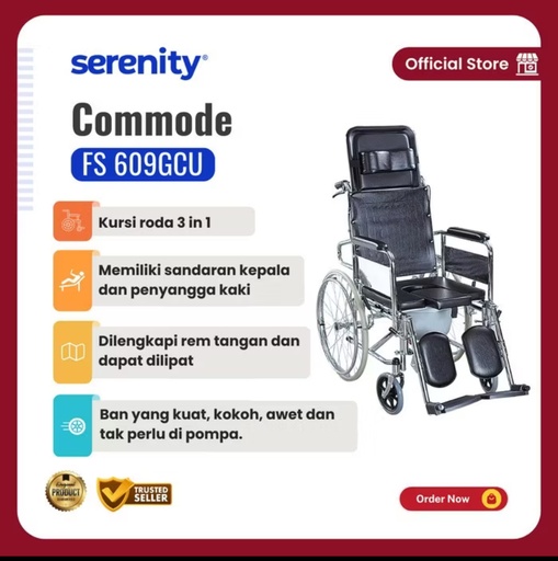 Kursi Roda 3in1 Serenity ( FS609GCU )